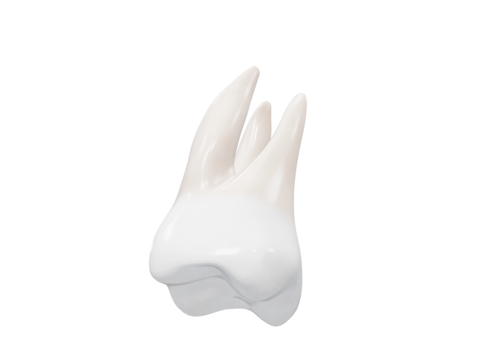 Detalle de una pieza del nuevo odontograma 3D